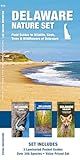Delaware Nature Set: Field Guides to Wildlife, Birds, Trees & Wildflowers of Delaware (Nature Observation North America)