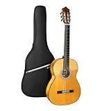 Wishmade GLF-240 Flamenco Guitar - 39 Inch Classical Acoustic Nylon String Guitar for Beginner Adults with Gig Bag