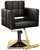 Baasha High-end Salon Chair, Gold & Black, Faux Leather, 360° Swivel, 330 lbs Weight Capacity, Memory Foam Cushion, Arm Rest, Ergonomic, Adjustable Height, Foot Rest, PU Leather