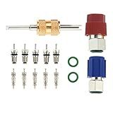 R12 to R134a Conversion Kit, Include R12 R22 to R134A High/Low Fitting Port Retrofit 1/4 SAE to 7/16"-20 UNF Conversion Adapter, R22 R134a Valve Cores, A/C Rubber seals and Valve Core Removal Tool