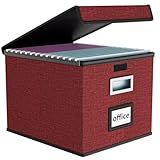 Huolewa File Organizer Box with Lid, Collapsible File Folder Organizer for Office Document Storage, Filing Box with Plastic Slide for Letter Size Hanging File Folders(1 Pack, Dark Red)