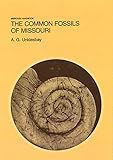 The Common Fossils of Missouri (Missouri Handbook) (Volume 1)