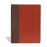 CSB Life Essentials Interactive Study Bible, Brown LeatherTouch, Black Letter, Study Commentary, Life Principles, QR Codes, Videos, Easy-to-Read Bible Serif Type