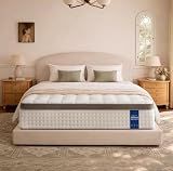Rakoide Queen Mattress - 14 inch Hybrid Mattress Queen Size in a Box, Memory Foam Mattress with Pocket Springs, Medium Firm, Pressure Relief & Motion Isolation, CertiPUR US Certified