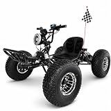 Zyliathor 48V Electric Go Kart for Adults & Teens, 20Ah Battery, 4000W Peak