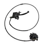 Aynaxcol Left Hydraulic Brake Master Caliper Rear Hand Hydraulic Disc Brake Assembly Replacement for 50cc 90cc 110ccc 125cc Chinese Taotao Roketa Sunl Go-Kart Dune Buggy Quad ATV Dirt Mini Bike