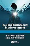 Image-Based Damage Assessment for Underwater Inspections