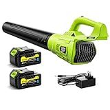 Leaf Blower Cordless, 21V Powerful Electric Leaf Blower with 2 * 4.0Ah Batteries & Fast Charger, 2-Speed Power Settings, Battery Powered Blowers for Lawn Care, Yard, Lawn, Patio, Dust, Blows Leaves