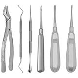 Basic Dental Extraction Exodontia Kit of 6 pcs
