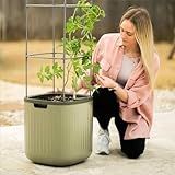 Vego garden Tomato Planter Box with Trellis Self-Watering Rolling Raised Garden Bed for Climbing Vegetables Plants Cage - Sage Green