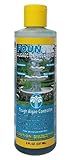 EasyCare FounTec Algaecide and Clarifier, 8 oz. Bottle