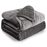 Cottonblue Weighted Blanket 15 lbs Queen Size 60x80 inches, Flannel Shaggy Sherpa Weighted Blanket for Adults Comfortable Weighted Blankets for Calming and Relax, Bed Sofa Heavy Blankets, Grey