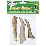 Exotic Nutrition Antler Chews - Safe Small Animal Chew - Natural Source of Healthy Minerals - Chinchilla, Hamster, Degu, Prairie Dog, Squirrel and Other Chewing Pets