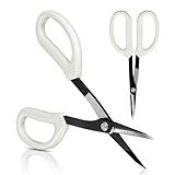 LOOPSEED Precision Gardening Scissors Plant Trimming Pruning Shears Garden Pruners for Orchid Bonsai Hydroponic Flower Clipper Garden Snip 8 Inch Long