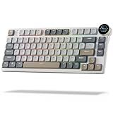RK ROYAL KLUDGE N80 Low Profile Mechanical Keyboard w/Smart Display Screen & Knob, 75% Top Mount 3-Modes Wireless Mechanical Keyboard, Software Support, Massive Battery, 80 Keys, Tactile Brown Switch