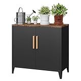 30" H Outdoor Storage Cabinet, Sideboard Buffet Cabinet, 2 Doors, Metal, Adjustable Shelf, Kitchen,Coffee Bar, Garden, Entryway, Table Cupboard,16" Dx 32" Wx30 H Black