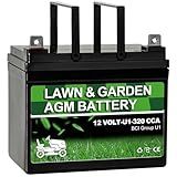 Autocessking Lawn Garden AGM Battery Group 1 (U1-320CCA) Rechargeable SLA Starting Battery for Lawn, Tractors and Mowers, Compatible with John Deere, Toro, Cub Cadet, and Craftsman Mower