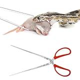 BOXOB Reptile Feeding Tongs, 15 Inch Extra Long Snake Feeding Tongs Non-Skidding Easy-Grip Tweezers Accessory for Terrarium Reptile Vivarium Corn Ball Python Axolotl Bearded Dragon Supplies