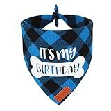 PTDECOR Dog Birthday Party Supplies, It’s My Birthday Scarf Blue Plaid Boy Pet Bandana for Extra Large Dogs (Blue, X-Large)