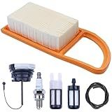 Hyceker BR600 Air Filter Tune-Up Kit for Stihl BR500 BR550 BR600 BR700 BR 500 550 600 700 Magnum Backpack Leaf Blower Service Kit Parts with Spark Plug Gas Fuel Cap Filter 4282 141 0300, 4282 007 1801