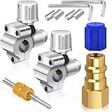 Boltigen Piercing Valve for Refrigerator-BPV31 Bullet Piercing Valve with Brass Low Side R12 to R134a Conversion Adapter Line Tap Valve A/C Retrofit Valve Kit, for HVAC Fridge Refrigerant System