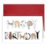 Bhiosng Happy Birthday Card for Cat Lover, Funny Cats Birthday Cards for Men Women, Cute Cat Owner Birthday Gift From Cat, Humor Cat Birthday Gift Card For Dad Mom Brother Sister Cat Lover