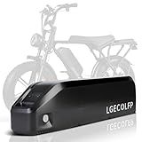 LGECOLFP 48V 15Ah E-Bike Battery Pack,Electric Bike Lithium Battery for 0-1000W Electric Bike with 30A BMS,LED Indicator,Safety Lock,NO USB Port