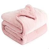 Cottonblue Weighted Blanket Queen Size 15lbs, Sherpa Weighted Blankets for Adults, Fuzzy Soft Flannel Bedding Blanket Throw, Cozy Plush Blanket for Sofa Bed, 60 x 80 inches, Blush Pink