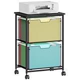 Sbanmao Letter/Legal Rolling File Cart with 2 Storage Drawers, Under Desk Storage, Vertical Filing Cabinet for Home Office, Hanging File Folders Organizer, Mobile Utility Cart Printer Stand, Black