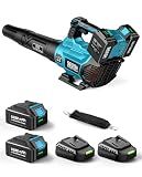 SEESII 40V Leaf Blower Cordless with 2 x 5.2Ah Batteries, 650CFM 160 MPH