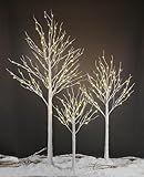 LIGHTSHARE LED Birch Tree Light Set - 4ft, 6ft, 8ft Trees with Warm White Lights - Indoor Outdoor Christmas Wedding Party Decorations (3-Pack)