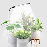 Juhefa Grow Light for Indoor Plants Growing, 6000K Full Spectrum Gooseneck Plant Lamp for Seedings Succulents Small Plants, Auto On/Off Timing & 5 Dimming, 1-Pack