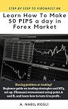 HOW TO MAKE 50 PIPS A DAY IN FOREX MARKET: BEGINNER GUIDE TO FIBONACCI TECHNIQUE OF TRADING LIKE A PRO (Forex Investing Strategy Book to Read 1)