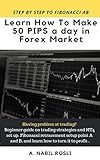 HOW TO MAKE 50 PIPS A DAY IN FOREX MARKET: BEGINNER GUIDE TO FIBONACCI TECHNIQUE OF TRADING LIKE A PRO (Forex Investing Strategy Book to Read 1)