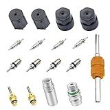 EKUWU 17 PCS Air Conditioning Valve Core Kit, R12 to R134a Conversion Kit A/C System Cap, High and Low Pressure AC Valve Core Removal Tool, Universal A/C Refrigeration System Repair Accessories