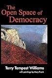 The Open Space of Democracy