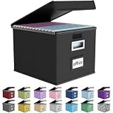 Huolewa File Organizer Box with Lids, Collapsible File Folder Organizer