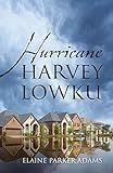 Hurricane Harvey Lowku