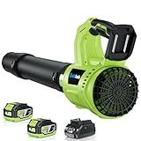 EnduTools Leaf Blower Cordless - 650 CFM 150 MPH Electric Leaf Blower with 2 x 4.0Ah Batteries & Fast Charger, 2-Speed Settings, Lightweight Blower for Lawn, Yard, Leaves, Dust, and Snow Care (Green)