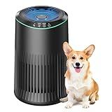 MERONTE Air Purifiers for Bedroom Home, Air Purifier for Smoke Odors with Fragrance Sponge, Small Air Purifier with Sleep Mode for Bedroom Office, Blue Night Light, Black, 1 Pack+3 Modes