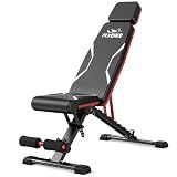 FLYBIRD WB3 Adjustable Weight Bench