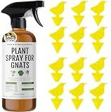 Kate's Home & Garden Plant Spray for Insects & Gnats, 12 Sticky Traps, 16oz