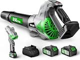 Leaf Blower Cordless with Up to 850 CFM & 250 MPH, Brushless Electric Leaf Blowers with 2 x 6.0Ah Batteries and Fast Charger, 3-Speed Powerful Handheld Blower for Lawn Care, Patio, Yard Cleanup