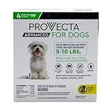 Provecta® Advanced for Dogs (Sm) 5–10 lbs – 4 Mos/Box