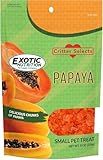 Exotic Nutrition Papaya Treat 1/2 LB - Healthy Natural Dried Fruit Treat - Rabbit, Guinea Pig, Hamster, Gerbil, Rat, Parrot, Sugar Glider, Squirrel, Birds & Small Pets
