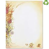 PaperDirect Autumn Bouquet Border Papers, 8.5" x 11" Fall Stationery for Cards, Invitations, Flyers, Letters, Newsletters, Scrapbooks, and School or Business Use, 25 Sheets