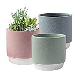 Royal Imports Ceramic Planter, Decorative Plant Pot Flower Vase for Indoor or Outdoor Garden, Porch, Home Decor - No Drainage Hole, Great for Succulents, Cactus, Bamboo - Set of 3, Green, Pink, Grey