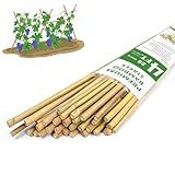 Plant Stakes,4FT Longer Sturdy Natural Bamboo Garden Stakes,GAGINANG 25Pcs Bamboo Sticks Trellis Support for Tomato, Vegetables Beans Trees Climbing Plants