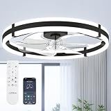 addlon 24" Low Profile Fandelier Ceiling Fans with Lights and Remote, Black