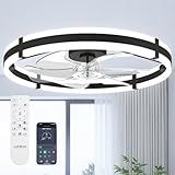 addlon 24" Low Profile Fandelier Ceiling Fans with Lights and Remote, Black